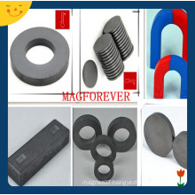 High Performance Various Shapes Y30 Ferrite Magnet for Motor
